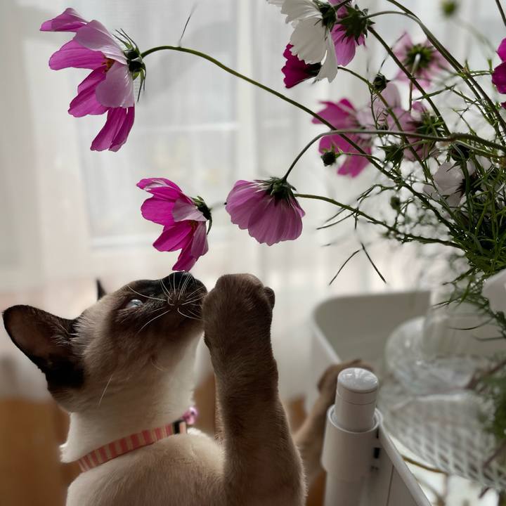 886367c6 46da 4bb6 80b1 bfd21397b6d6 1699148439409