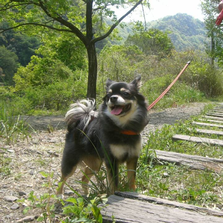 886374c6 8a01 4e3d 81da 73f8a90b7f39 1587513157697