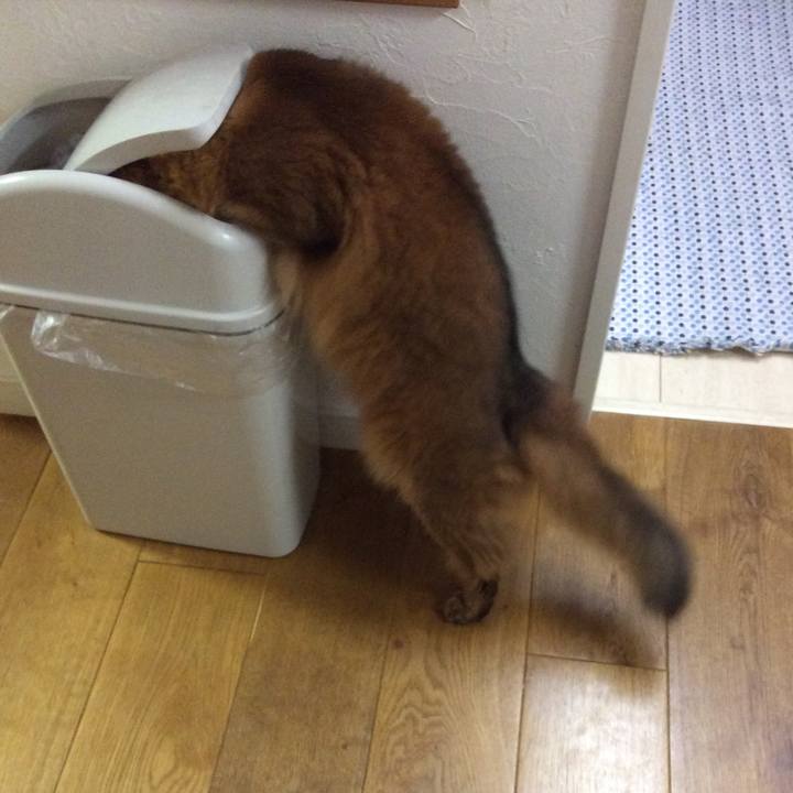 8863b17e aece 44a0 b1db f0b492c16447 1623931849049