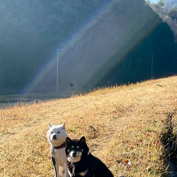 8863b7cb 885d 4ecf 8619 205344a58a46 1674098114968