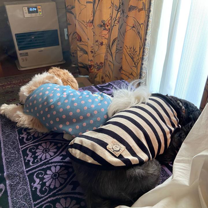 8863bd7b 1885 443f 9b2a e450533f4da1 1637365966715