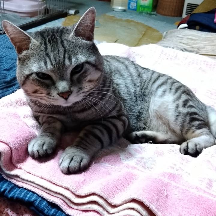 8863ef16 e695 44ea 86ac 4c371cd2cceb 1679237733881