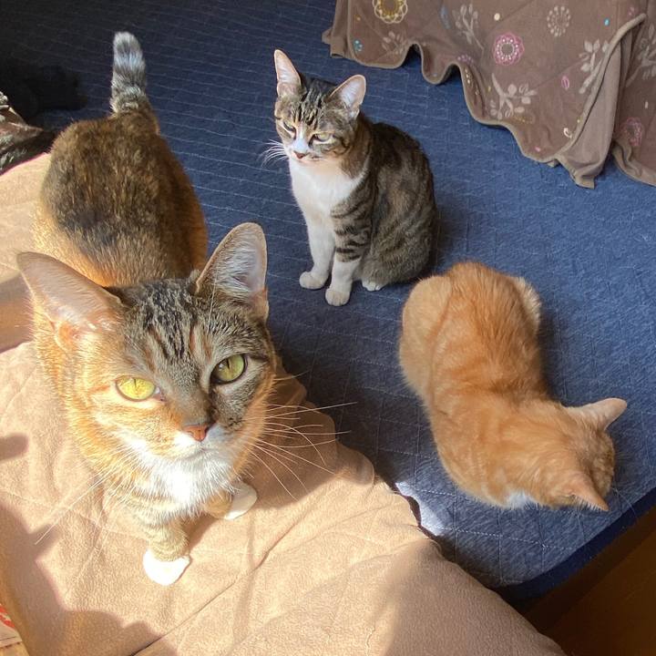 886428c0 4891 4f4f 85c1 1cd08e4732ff 1585018304637