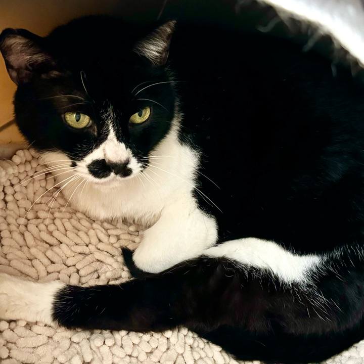 8864b1c7 d911 47d4 a7f7 96d7cb2bdea5 1716536209534