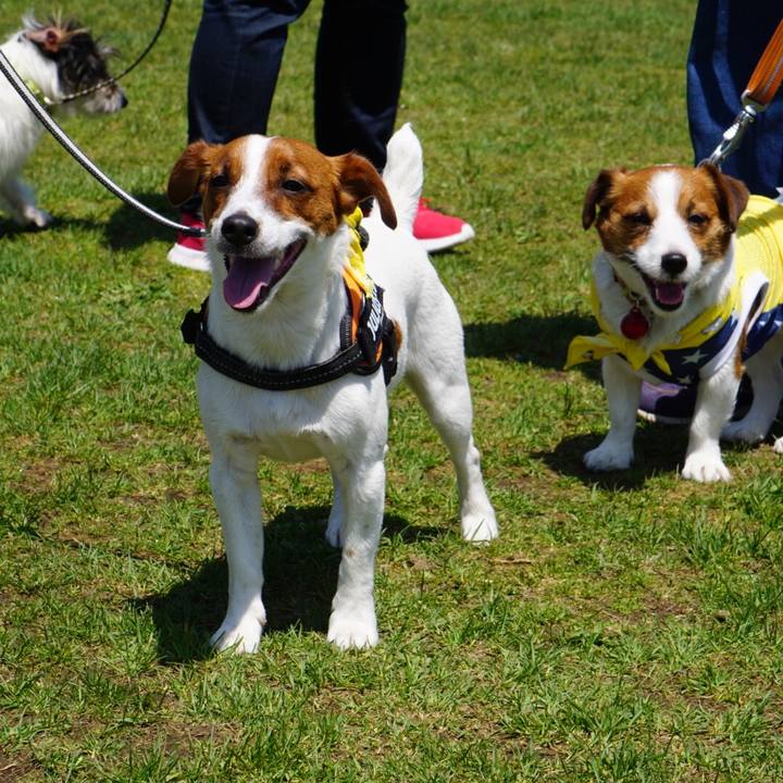 8864e016 8ddb 4f6e a9b8 eb080799b6a6 1524400657964