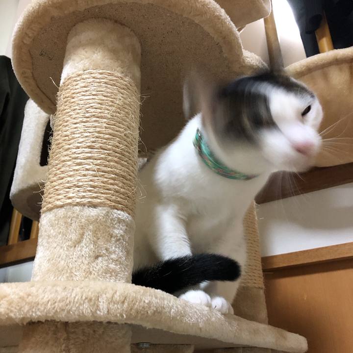 8864e604 21b9 4df2 8b57 93ad0be68de4 1604665929680