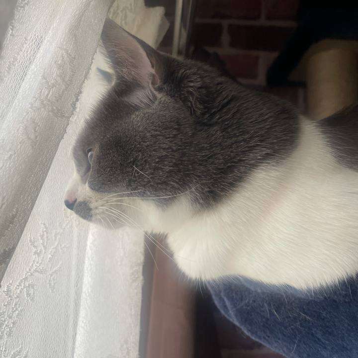 8864e8ed 973a 403c 8ecf 00231d691957 1645492383325