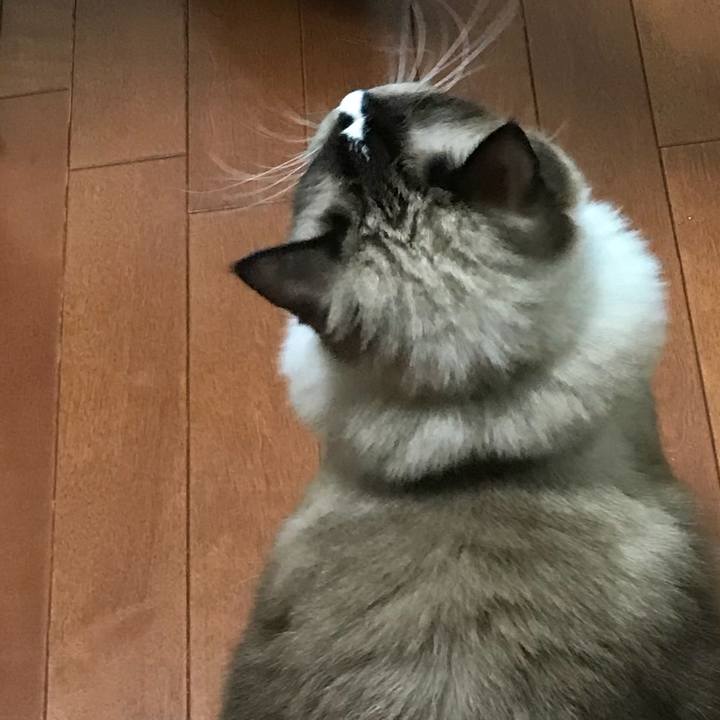 88650443 4baf 4434 b89f ea57823c0234 1508421265564