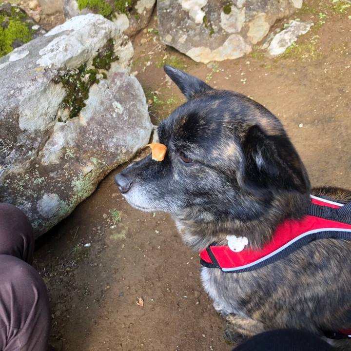 88650b73 13fe 40e5 a979 db283f30782d 1547984159594