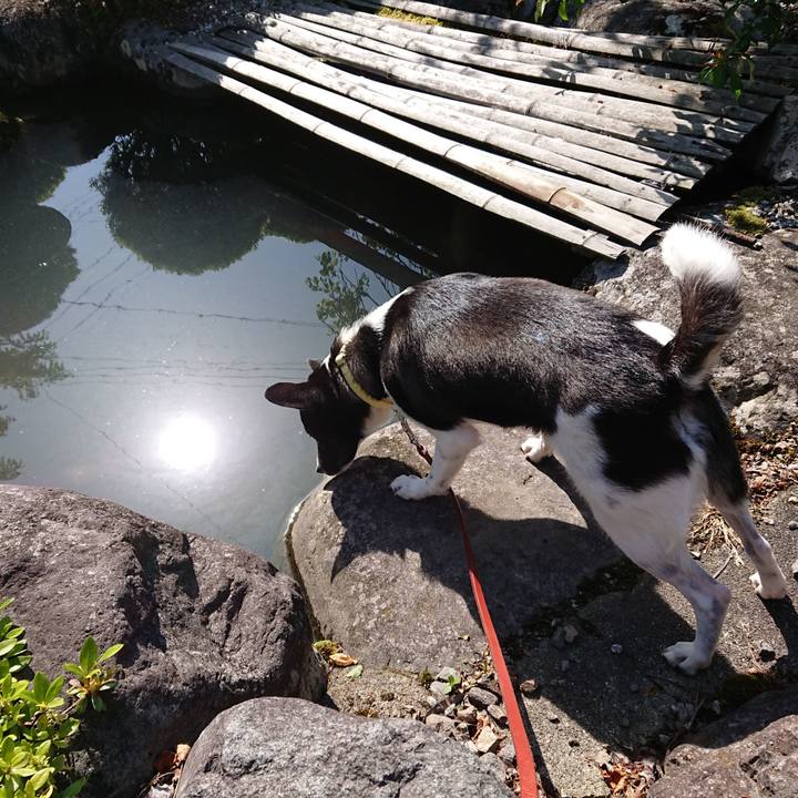 88651d8c 44eb 45f4 b046 f6155e25e764 1525481071659