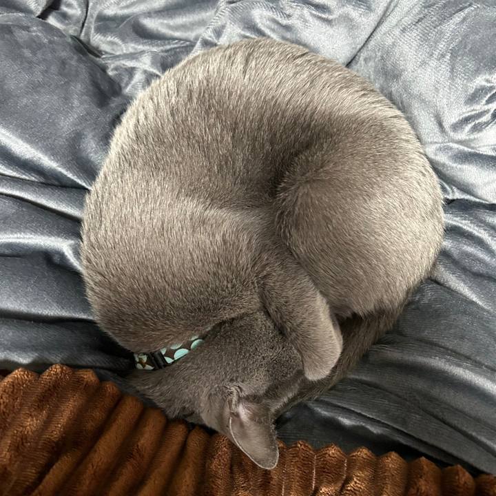 8865278b 7bf8 46cb bd82 574d6a698419 1679455663212