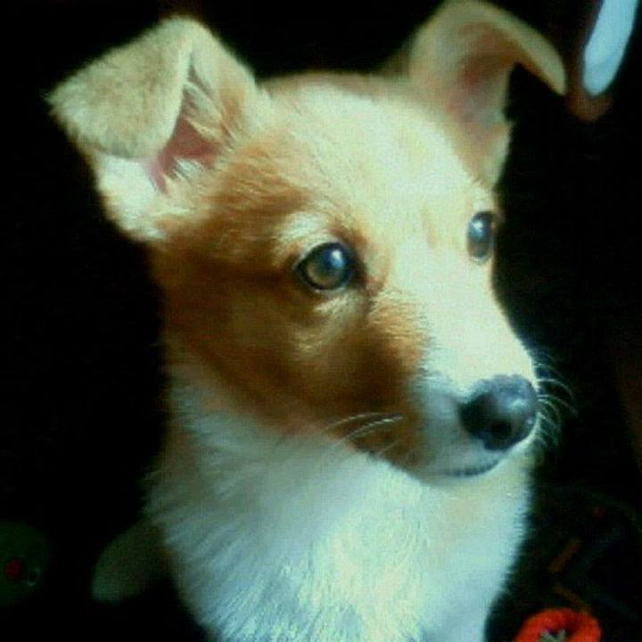 886529d6 6c16 47b5 81c7 d20bcc1cbc9e 1769383218182