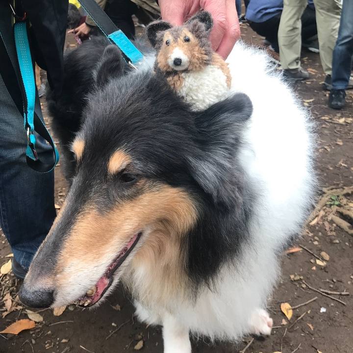 88652b39 e448 4d5d 85d0 13c9ef519cd8 1627013751312