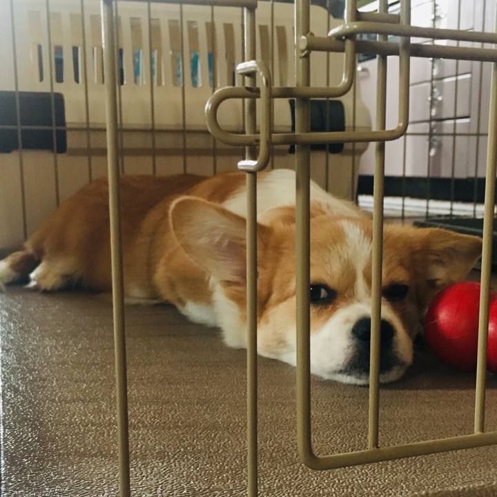 88652f77 bb23 4714 a2ef 543b2b23b33c 1561207836149