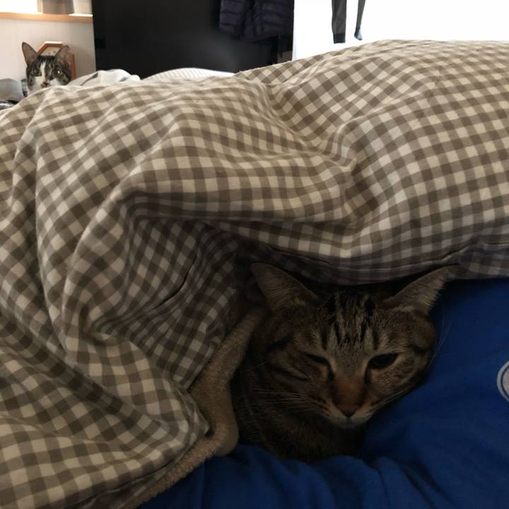 886558cc 3fd5 41aa be08 5e1fbc9d66b4 1517552770530