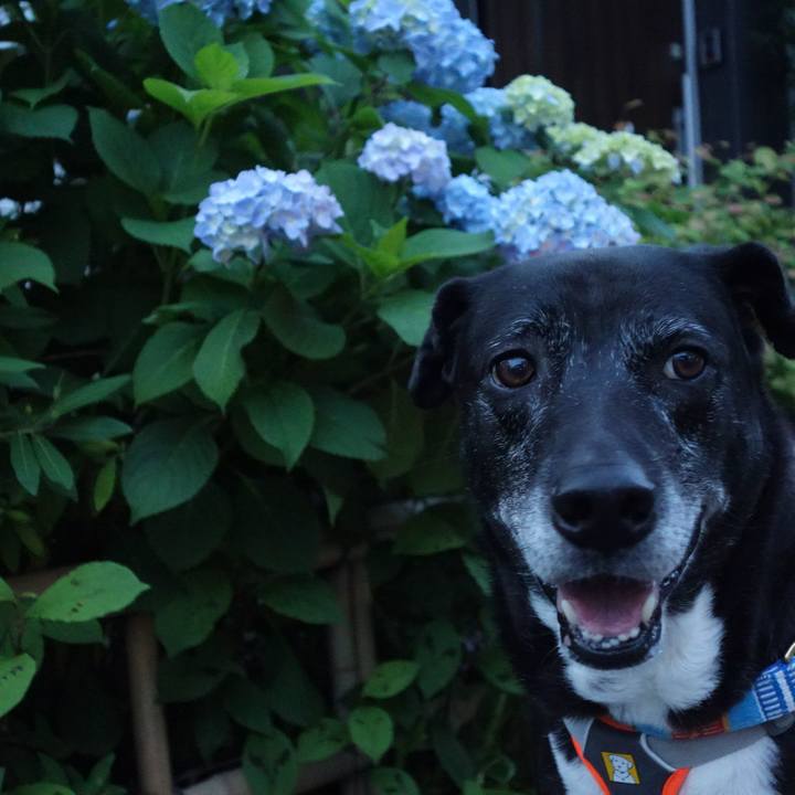 886562da 8be8 4b49 affa 36f41a72c300 1748430494641