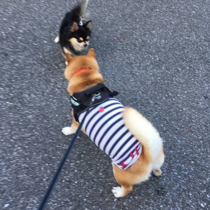 8865b8d1 2c8d 42d6 a162 5f8660212b3d 1532900320929