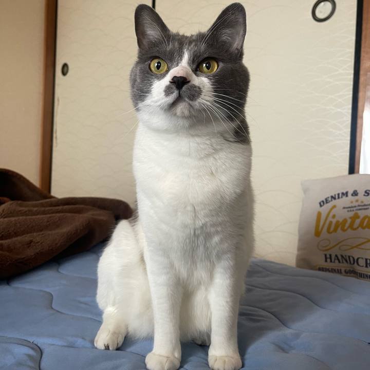 8865ba08 ed57 472a a3e6 0c6369127898 1655102380728