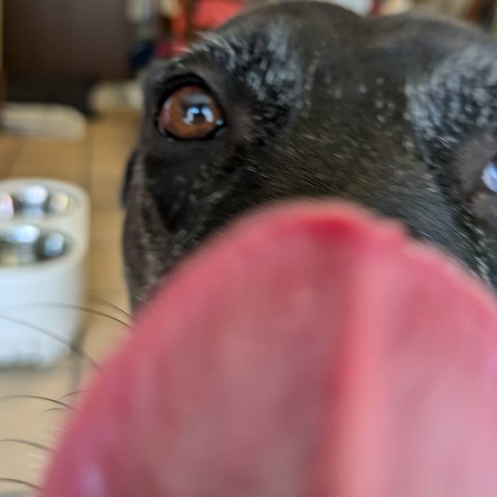 8865c9bd 480f 4f89 9944 1c4a4577ee08 1731064169605