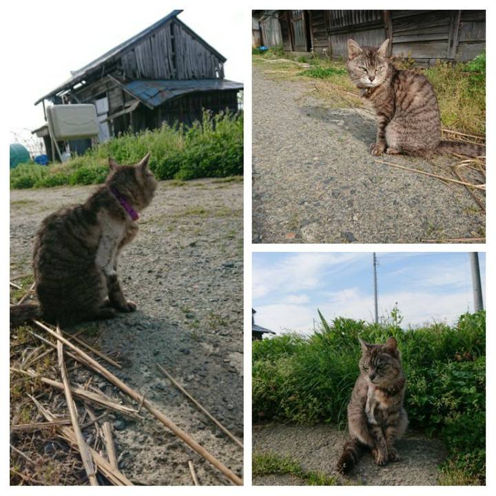 8865ccb8 4a03 477a b1d8 20253444bf9e 1589234050436