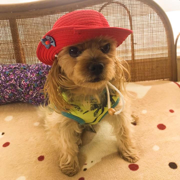 8865d40d e0eb 492a a56d e7475f879ced 1582881205079