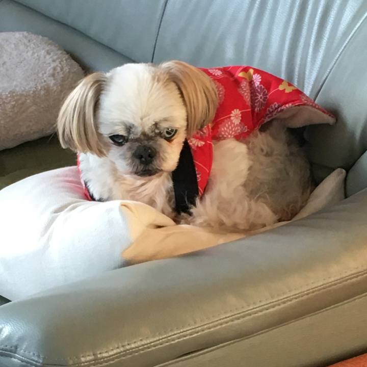 8865e311 a80a 4576 876e e1fd28647e4c 1645431656543