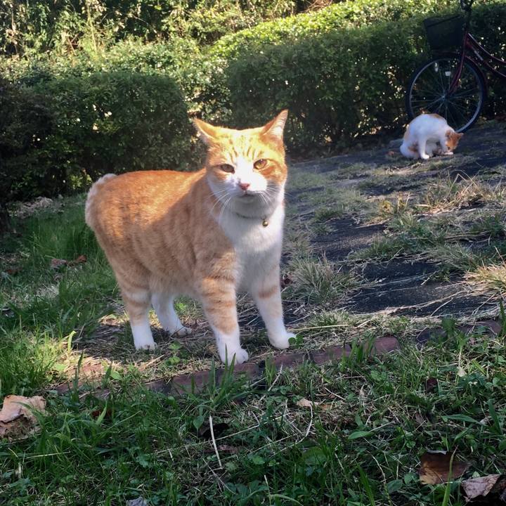 8865f0a1 a255 44c0 ac7d a4f19b2e7735 1509701212909