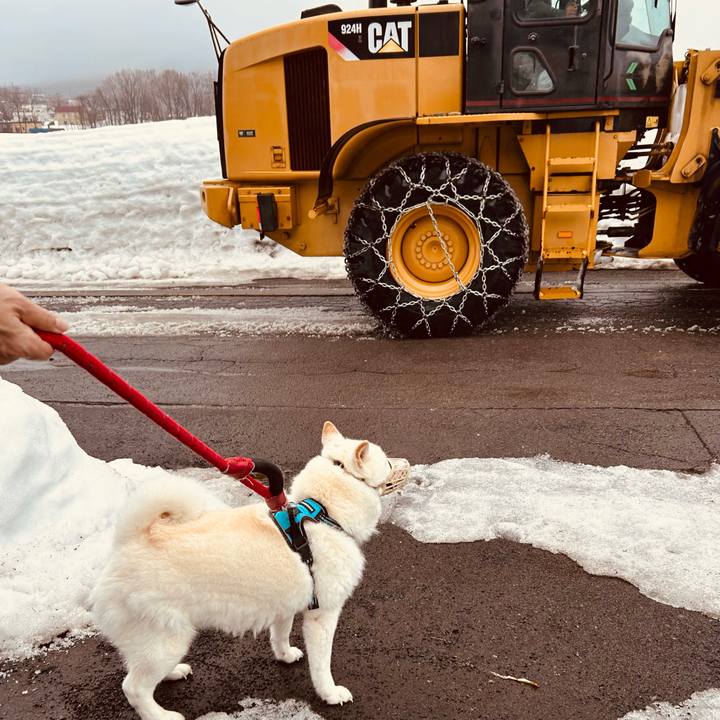 8865f0b8 25d5 48b4 a45c d3fd0cfe24cc 1772230012492