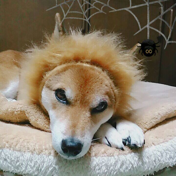 8865fa5d 86a2 4f79 a838 659e6e6d51aa 1572337215129