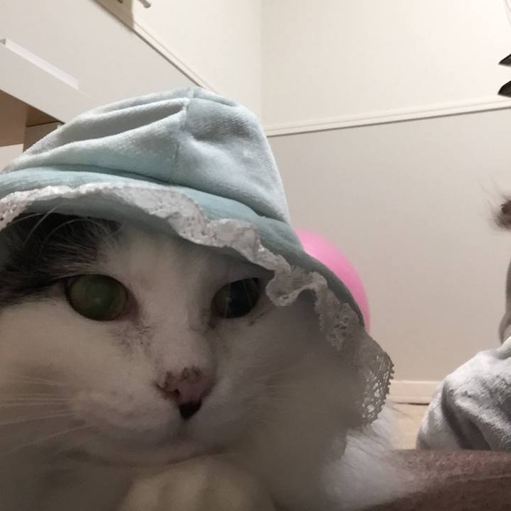 8866550e 2349 4249 87e3 c809c3522f88 1513932830793