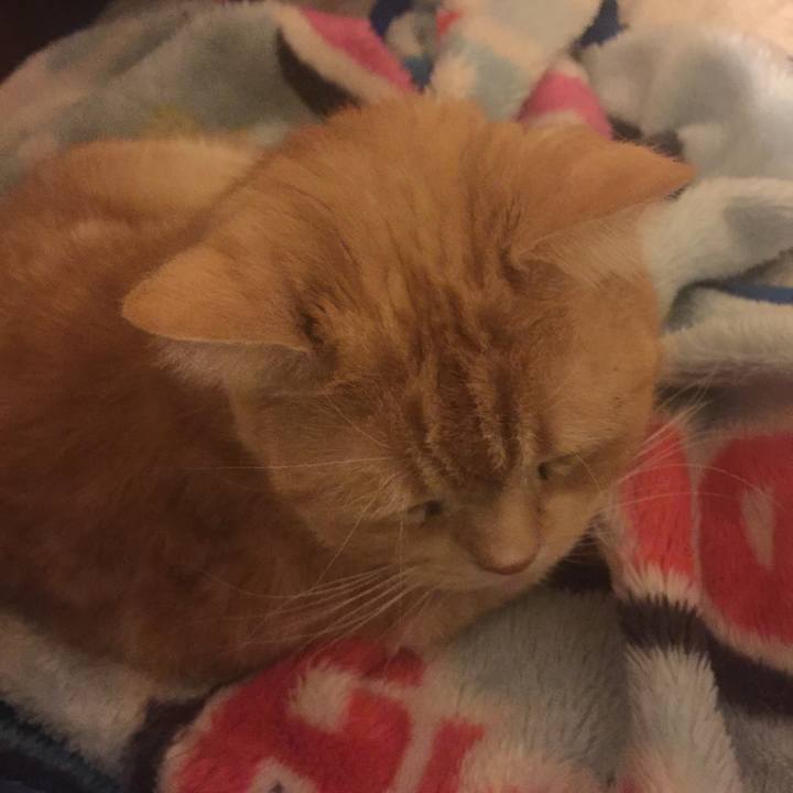 88667927 d8f6 47e9 9203 5f23822baa3c 1550158090535