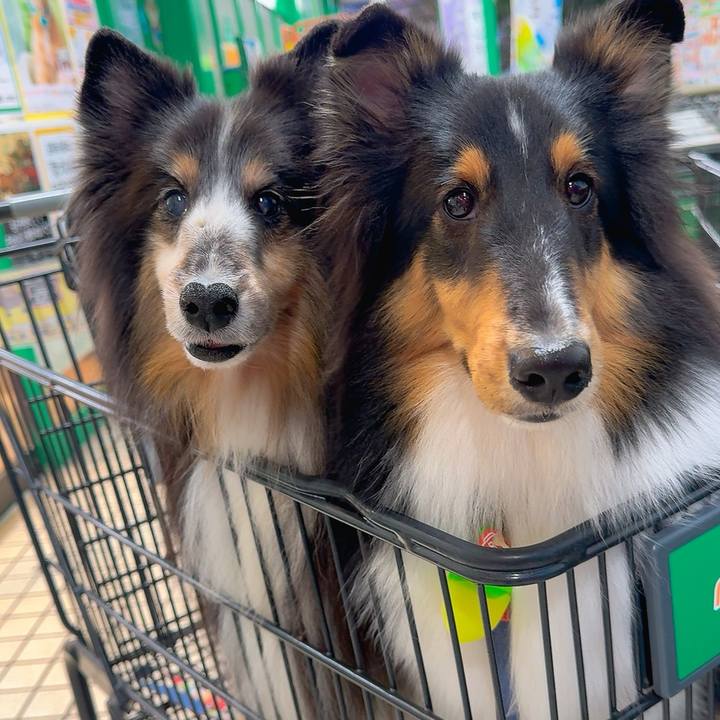 886684af bbf3 4b43 b423 482599c8645a 1764004307288