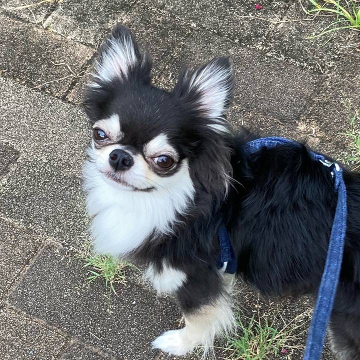 886684d8 9549 4361 9496 c5acbee3a53b 1661570101757