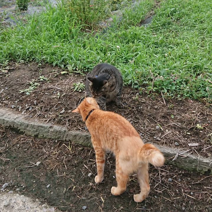 8866863c 201c 41c8 8992 cf6f656baf23 1659736384000