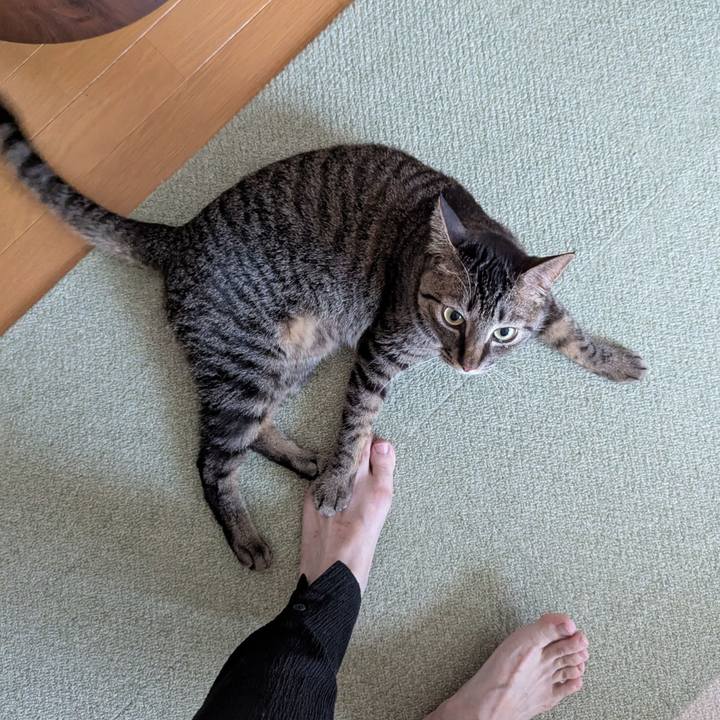 88669031 bc6e 4a6d 8104 dc4598694acb 1750832224101