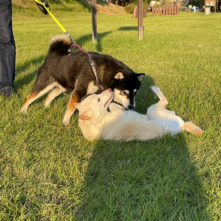 8866a299 11d6 4315 8fca 5bfd917dd158 1666521034860