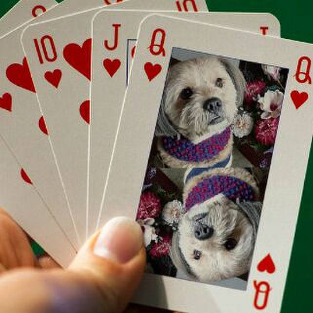 8866a871 1782 48ac 9de1 007428063924 1515062309430