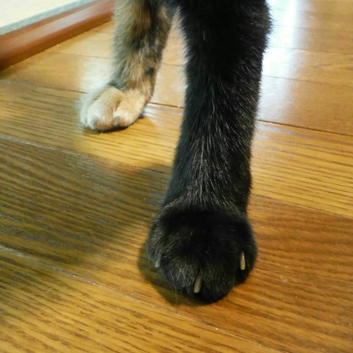 8866ad97 ab94 4db4 aa40 d9efec72568e 1538020873164