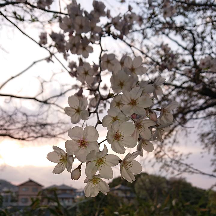 8866b3c8 a33c 40bc 8ba9 dc3c11bdbb45 1553947587006