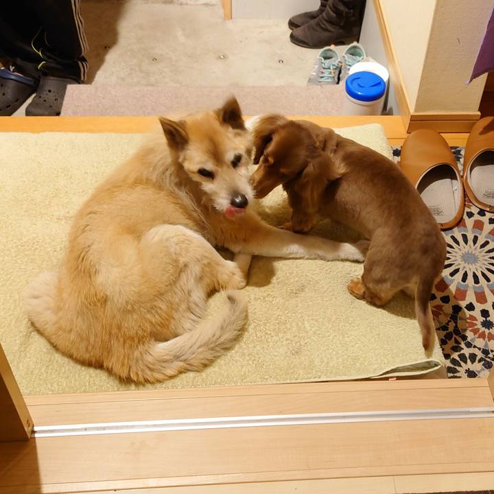 8866ec2a 4fb4 4020 931f cd436381a705 1614784864894