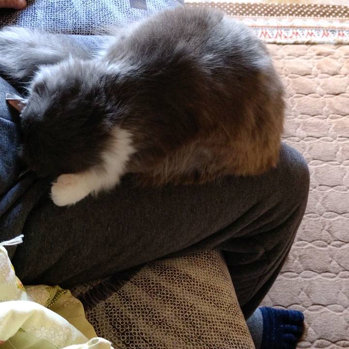 88674fc3 33d4 4af1 9b85 a0f3d7cde607 1605739232945