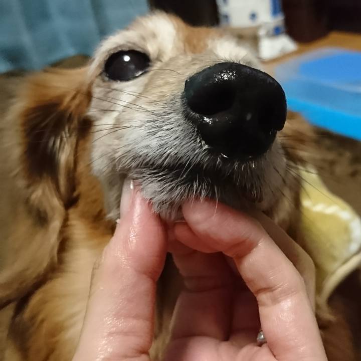 88679a23 2bea 4276 9506 02053d67b9e6 1516917318405