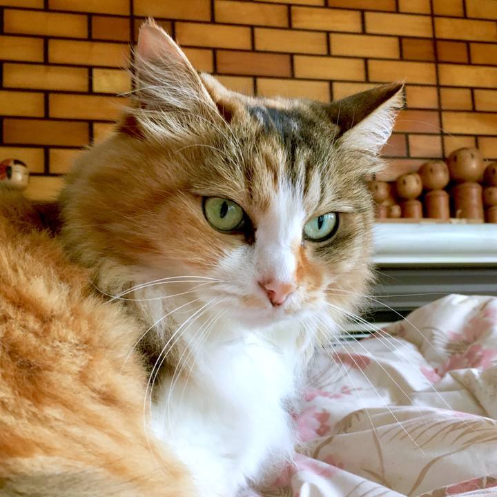 88679ee7 89f8 4534 a7e0 13a55a50b1f0 1563349850041