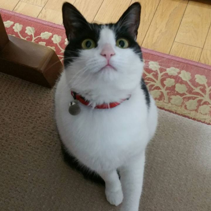 8867a6a4 9c20 4419 995f 26a478e84663 1556149309937