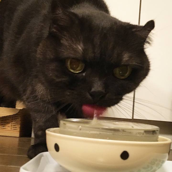 8867b04c b2e7 450c bf45 e768e4017918 1531666992752