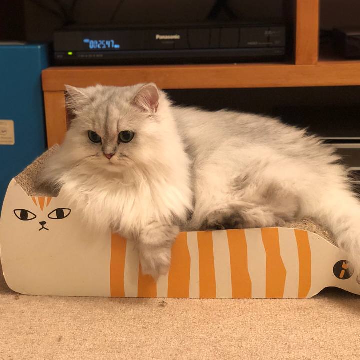 8867c294 ed22 4dbe 939e 1ef719b48e85 1541675150072