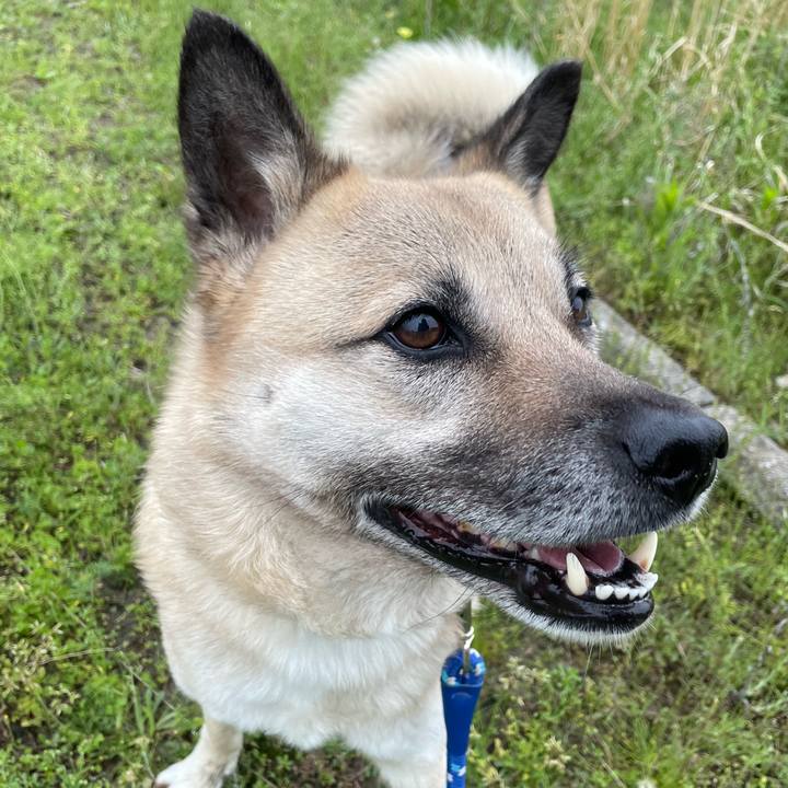 8867ddd7 c879 429d 9f94 1ac0d71131ad 1651327581597