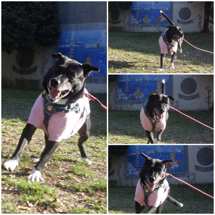 8867e480 400c 453d 87c2 18aeb4a6cff7 1709342299644