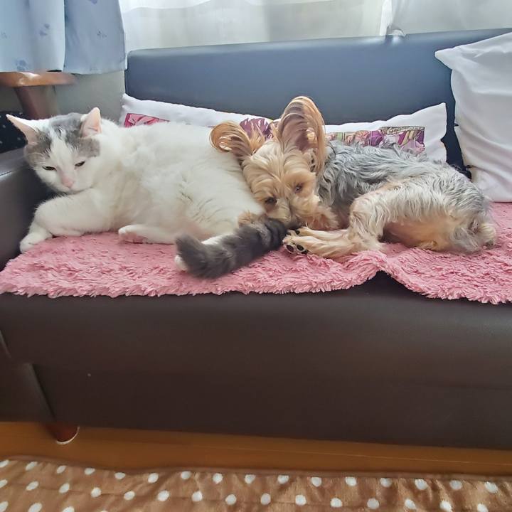 88680138 bd91 4068 b9cf 6ccc800ce4e1 1616502389058