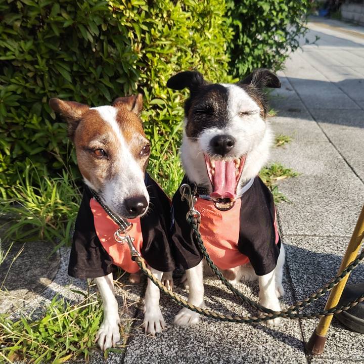 8868014f 3dd6 4908 8962 226b74b5686c 1753135690640